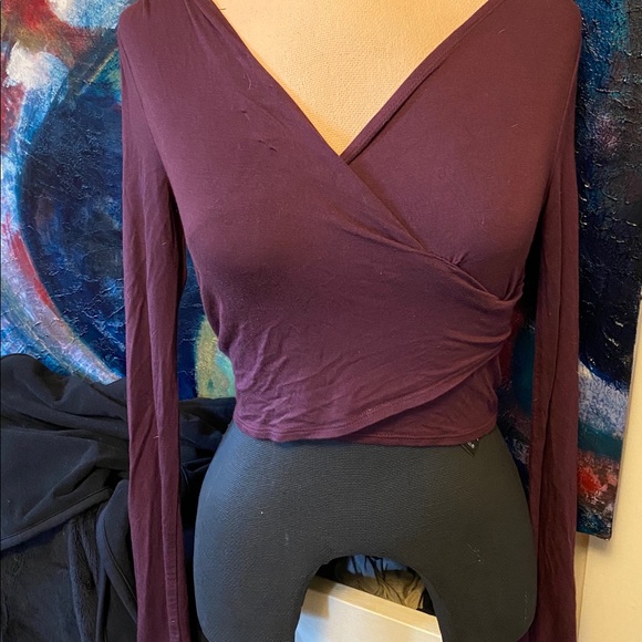 Talula by ARITZIA xs Crop Burgandy top - Picture 2 of 4